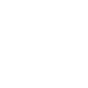 Adler Motors